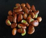 halasina-beeja-saaru-recipe1