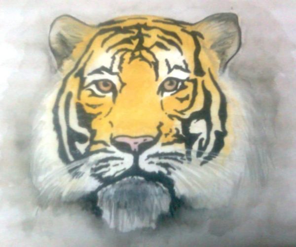 naveen sagar drawing1