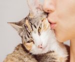 cat_kisses.jpg.653x0_q80_crop-smart