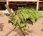 kuralda parba2