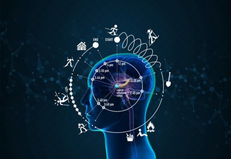 timebrain1200-800x550