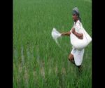 agriculture1 (2)