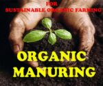 Organic Manure