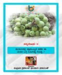 WhatsApp Image 2021-10-02 at 18.05.45