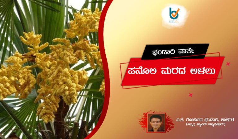 WhatsApp Image 2021-11-26 at 19.36.46