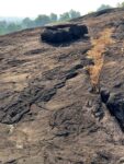 mangila (3)