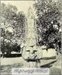 iver butolu (4)