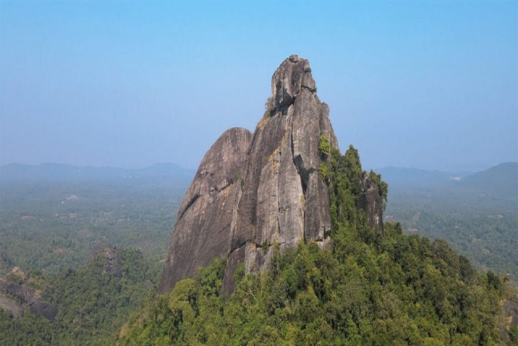 kallu (3)